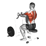 lever narrow grip seated row 动作演示