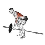 lever one arm bent over row 动作演示