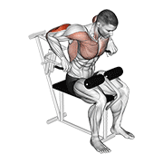 lever overhand triceps dip exercise demonstration