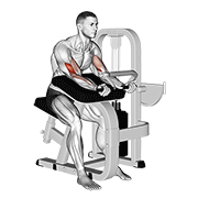 lever preacher curl exercise demonstration