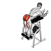 lever reverse hyperextension exercise demonstration