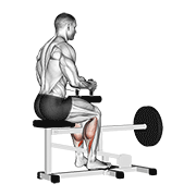 lever seated calf raise exercise demonstration