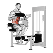 lever seated crunch (chest pad) dimostrazione dell’esercizio