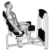 lever seated hip abduction 动作演示