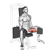 lever seated hip adduction 动作演示