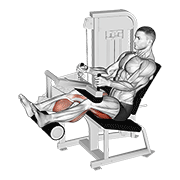lever seated leg curl 动作演示