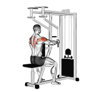 lever seated reverse fly (parallel grip) dimostrazione dell’esercizio