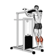 lever standing calf raise exercise demonstration