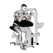 lever triceps extension dimostrazione dell’esercizio