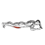 lying (side) quads stretch exercise demonstration