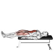 lying leg raise flat bench exercise demonstration