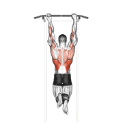 mixed grip chin-up dimostrazione dell’esercizio