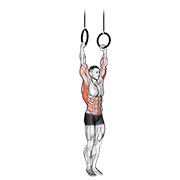 muscle up exercise demonstration