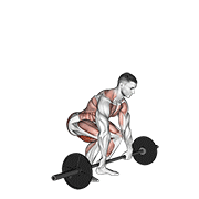 power clean exercise demonstration