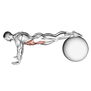 pull-in (on stability ball) exercise demonstration