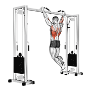 pull up (neutral grip) exercise demonstration