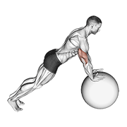 push-up (on stability ball) exercise demonstration
