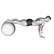 push-up (on stability ball) exercise demonstration