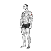 rear deltoid stretch exercise demonstration