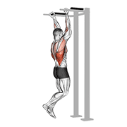 reverse grip pull-up dimostrazione dell’esercizio