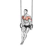 ring dips dimostrazione dell’esercizio