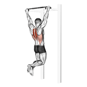 scapular pull-up dimostrazione dell’esercizio