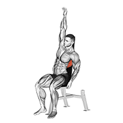 seated lower back stretch exercise demonstration