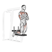 self assisted inverse leg curl exercise demonstration