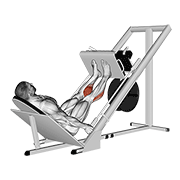 sled 45в° calf press exercise demonstration