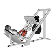 sled 45в° leg press exercise demonstration