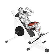 sled closer hack squat egzersiz gösterimi