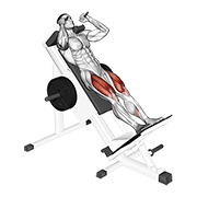 sled hack squat exercise demonstration
