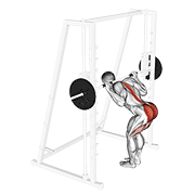 smith bent knee good morning exercise demonstration