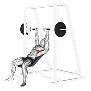 smith incline shoulder raises 动作演示