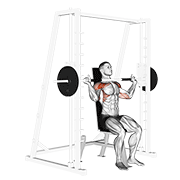 smith shoulder press 动作演示