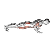 spider crawl push up exercise demonstration
