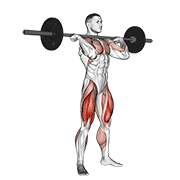 squat jerk egzersiz gösterimi