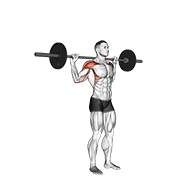 standing behind neck press exercise demonstration