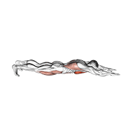 superman push-up exercise demonstration