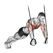 suspended push-up exercise demonstration