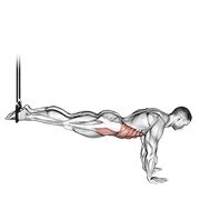 suspended reverse crunch dimostrazione dell’esercizio