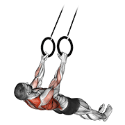 suspended row exercise demonstration