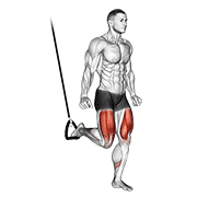suspended split squat exercise demonstration
