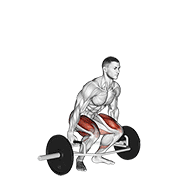 trap bar deadlift egzersiz gösterimi