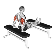 triceps dip (bench leg) egzersiz gösterimi