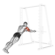 triceps press exercise demonstration
