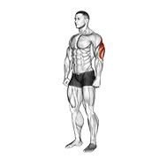 triceps stretch exercise demonstration