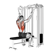 twin handle parallel grip lat pulldown exercise demonstration