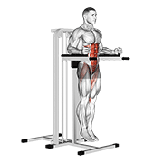 vertical leg raise (on parallel bars) dimostrazione dell’esercizio