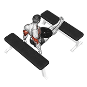 weighted bench dip dimostrazione dell’esercizio